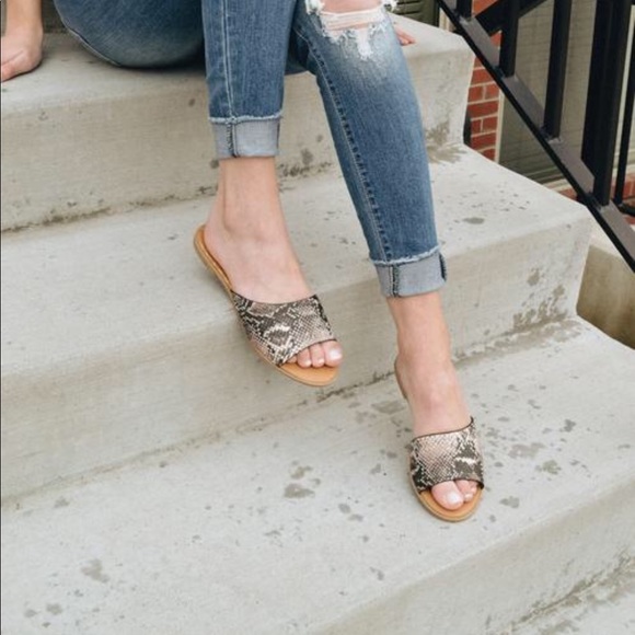 CLEARANCE 💕SNAKE PRINT SLIDES FLATS- Sandals - Picture 2 of 3